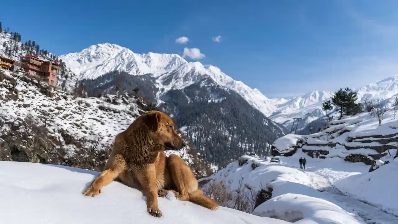 Kheerganga Trek