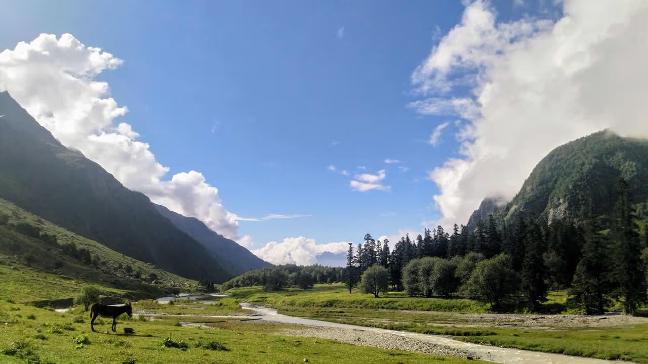 Pin Bhaba Trek
